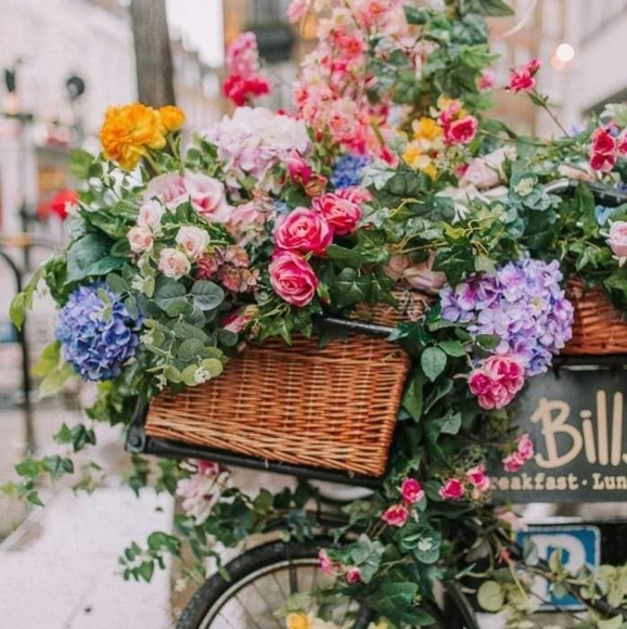 Meet your Posher, Brenda - Picture 7 of 13